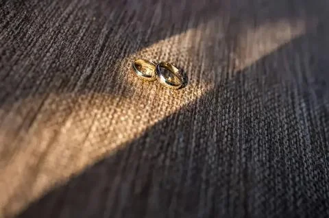 Close-up of a bee on dark fabric surface Stock Photos