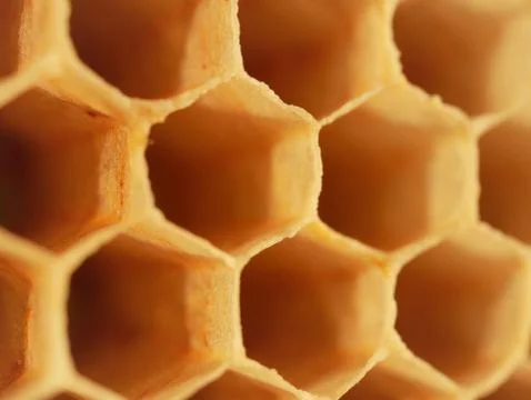 Close up of bee hive honey bee hexagonal cells Stock Photos