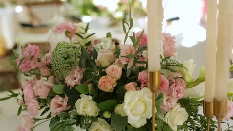 CLOSE UP. Bee Pollinating Summer Flower on the Wedding Stock Footage 123703032