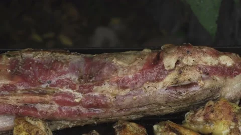 Close-up of a beef cut on a grill frying and taking color in a country house Video stock 170018371