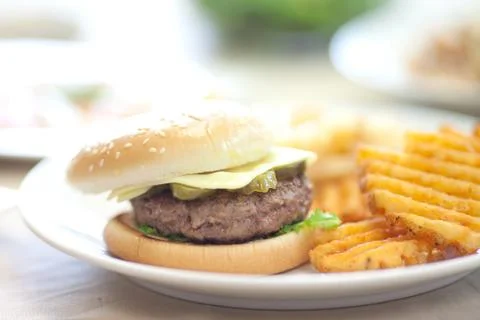 Close-up beef hamburger with french fries on dish that most popular fast food. Stock Photos