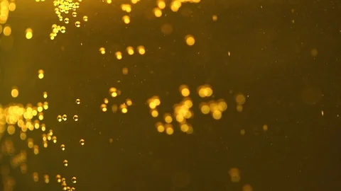 Close-up Of Beer Bubbles In A Glass Stock Footage 127023921