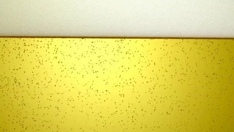 Close up of the beer Stock Footage 86220660