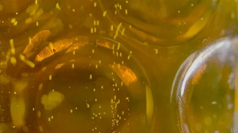 A close up of a beer stein with rising bubbles in close up Stock Footage 87857062
