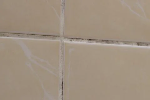 Close-up of beige ceramic tiles with dark traces of mold and dirt in the jo.. Stock Photos