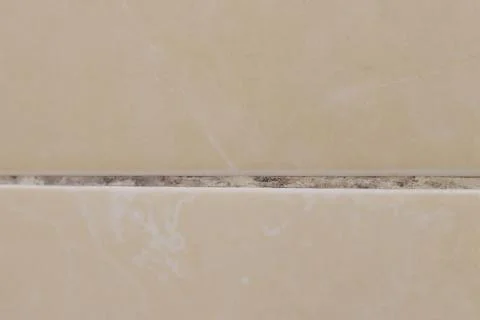 Close-up of beige ceramic tiles with dark traces of mold and dirt in the jo.. Stock Photos