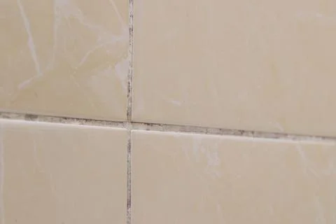 Close-up of beige ceramic tiles with dark traces of mold and dirt in the jo.. Stock Photos
