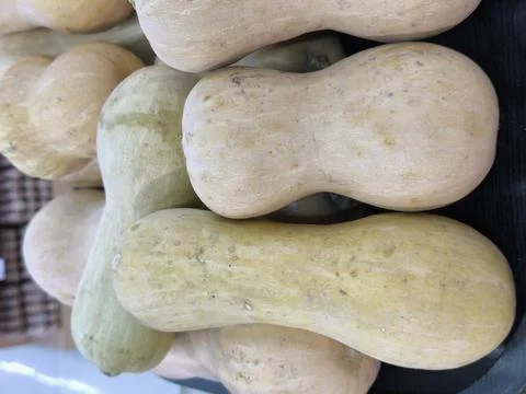 Close up of beige dog bones. 库存照片