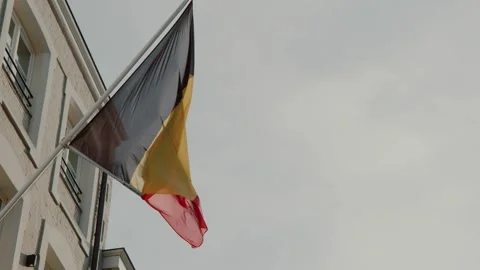 Close-up of Belgian flag on historic building in Bruges Stock Footage 307123311
