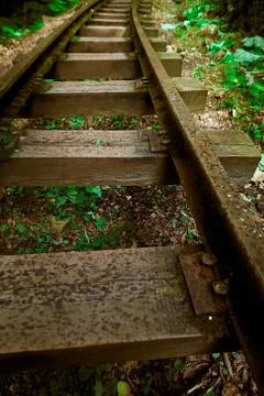 A close up of a bench Stock Photos