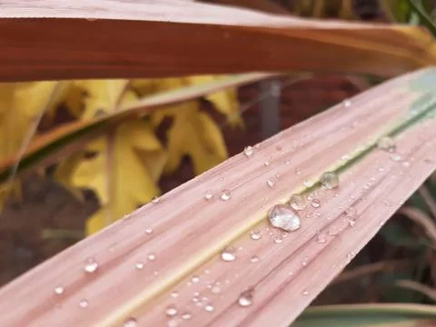A close up of a bench Stock Photos