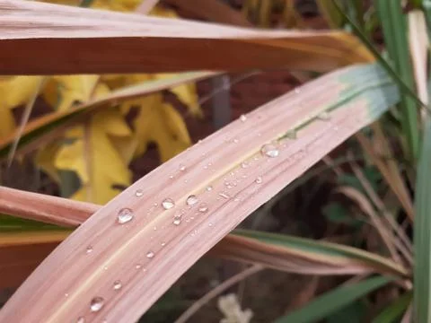 A close up of a bench Stock Photos