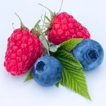 Close-up of berries on a white background Stock Photos