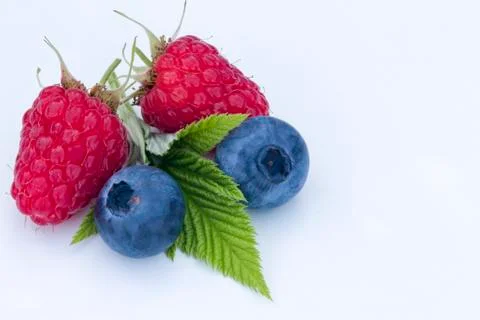 Close-up of berries on a white background 库存照片