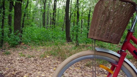 A close-up of a bicycle wheel with a basket of flowers, while moving, the male Stock Footage 80452301