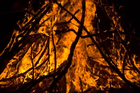 Close-up big campfire at the night Stock Photos
