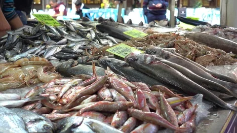 Close up big choice of fresh fish and sea food on sale Stock Footage 97594589