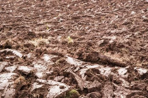 Close up big clods Stock Photos