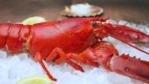 Close-up of a big cooked red lobster on crushed ice with lemon, lime on the side Stock Footage 146341238