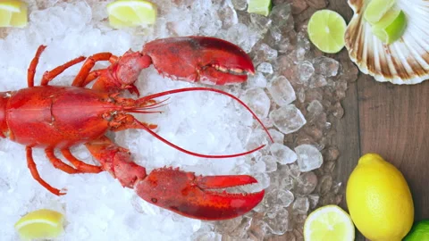 Close-up of a big cooked red lobster on crushed ice with lemon, lime on the side Stock Footage 146342084