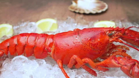 Close-up of a big cooked red lobster on crushed ice with lemon, lime on the side Video stock 146342282