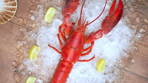 Close-up of a big cooked red lobster on crushed ice with lemon, lime on the side Video stock 146342321