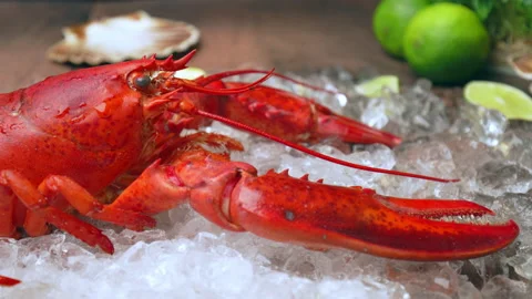 Close-up of a big cooked red lobster on crushed ice with lemon, lime on the side Video stock 146342454