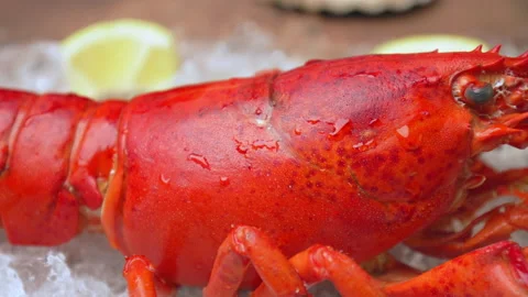 Close-up of a big cooked red lobster on crushed ice with lemon, lime on the side Video stock 146342457