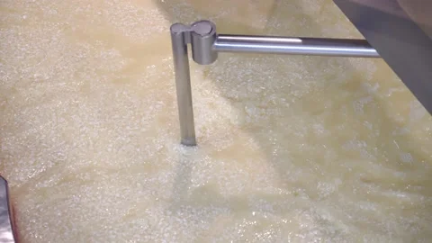 Close Up. Big Factory Making Cheese. Cheesemaking Industry. Video stock 197539620