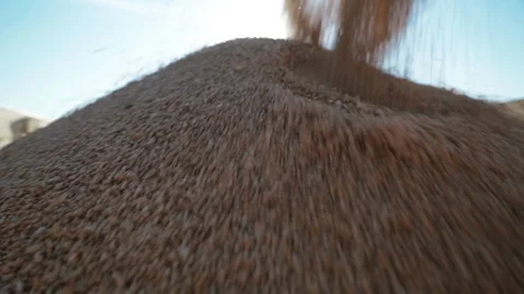 Close-up big heap of falling wheat grains 库存影片 98127291