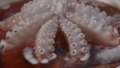 Close up of a big octopus with long tentacles that cooks in hot water in a pot Vídeos de archivo 79853691