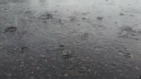 Close-up big raindrops falling on asphalt, seasonal autumn Stock Footage 156864144