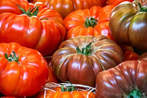 Close up of big red tomatoes Foto stock