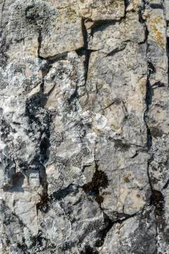 Close up of big rock  Stock Photos