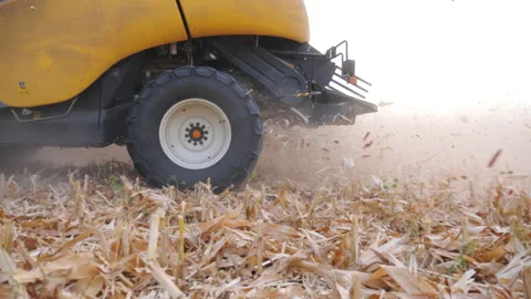 Close up big rotating wheel of combine working on corn field or farm. Harvester Stock Footage 146526497