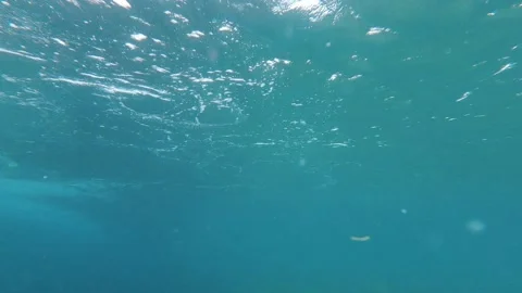 Close up of big wave passing and crashing in the sea or ocean of the beach. Para Stock Footage 151333470