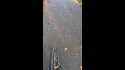 Close-up of a bike’s front wheel moving along an autumn pathway. Stock Footage 319501336