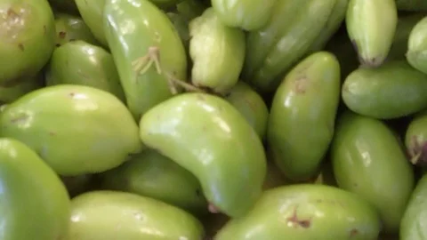Close up of bilimbi fruit Stock Footage 99221941