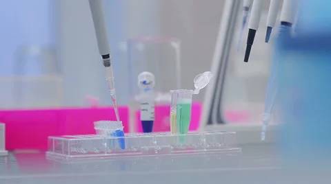 Close-Up Of Biological Research Stock Footage 56885012