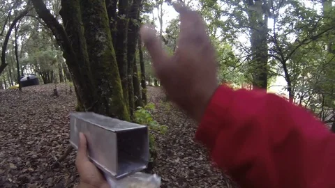 Close up of biologist setting up a Sherman trap Stock-Footage 119422882