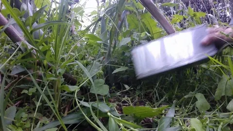 Close up of biologist setting up a Sherman trap Video stock 119422951