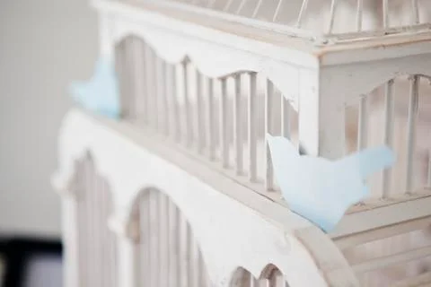 Close-up of Bird Cage Stock Photos