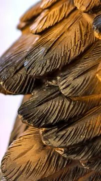 Close up bird feathers texture natural layered pattern 스톡 사진