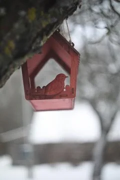 Close-up of a bird feeder on a tree under the snow in the forest. Stock Photos