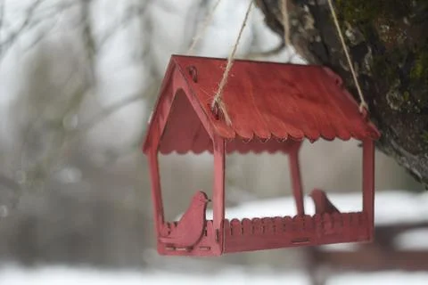 Close-up of a bird feeder on a tree under the snow in the forest. Stock Photos