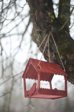 Close-up of a bird feeder on a tree under the snow in the forest. Stock Photos