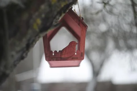 Close-up of a bird feeder on a tree under the snow in the forest. Stock Photos