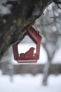 Close-up of a bird feeder on a tree under the snow in the forest. Stock Photos