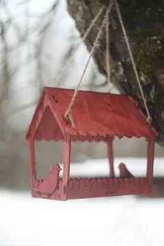 Close-up of a bird feeder on a tree under the snow in the forest. Stock Photos