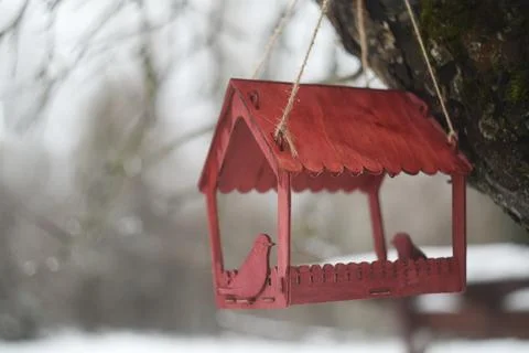 Close-up of a bird feeder on a tree under the snow in the forest. Stock Photos